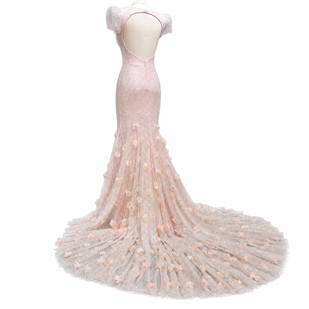SS643 Warda
